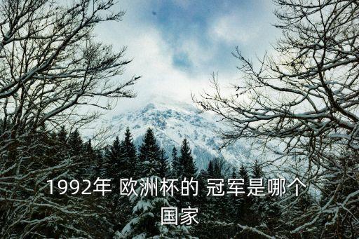 1992年 歐洲杯的 冠軍是哪個 國家