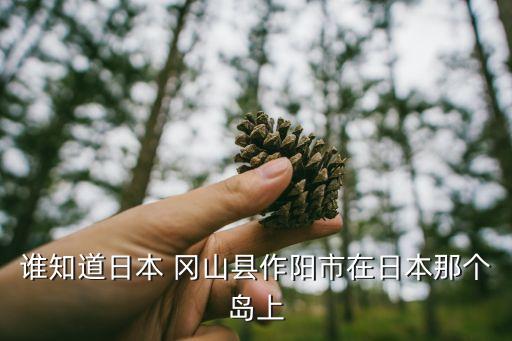 誰知道日本 岡山縣作陽市在日本那個島上