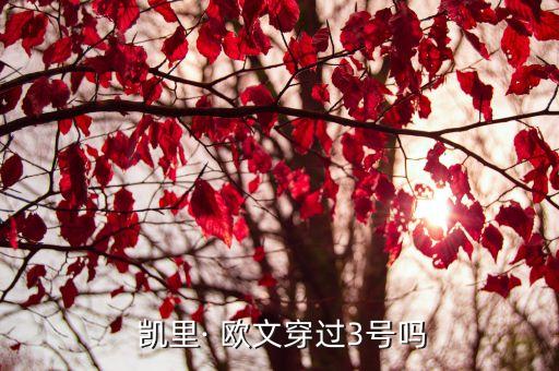  凱里· 歐文穿過(guò)3號(hào)嗎