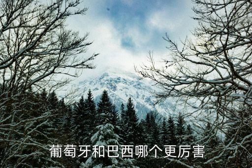  葡萄牙和巴西哪個更厲害