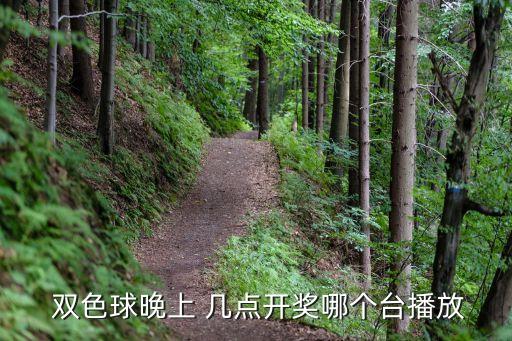  雙色球晚上 幾點(diǎn)開獎(jiǎng)哪個(gè)臺播放