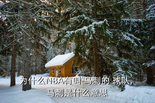 馬刺是哪個(gè)國(guó)家的球隊(duì),馬刺球隊(duì)前身達(dá)拉斯·布什創(chuàng)立球隊(duì)