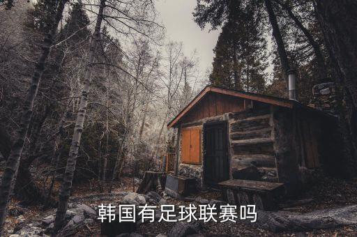 濟(jì)州聯(lián)隊(duì)是哪個(gè)國(guó)家,廣州恒大主場(chǎng)迎戰(zhàn)韓國(guó)濟(jì)州聯(lián)隊(duì)