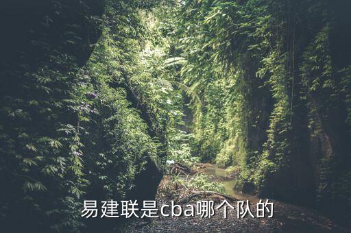  易建聯(lián)是cba哪個隊的