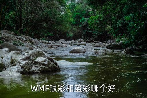買籃彩用哪個手機(jī)軟件,籃球選手以實際比賽結(jié)果預(yù)測中獎對象