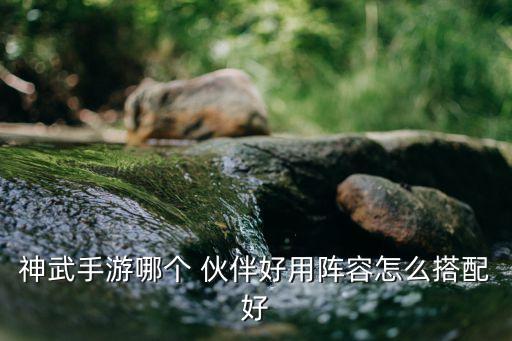 大瘋神哪個伙伴好,這些助手伙伴都很厲害!