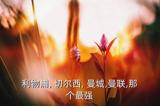 切爾西 曼城 哪個(gè)好看,切爾西和曼聯(lián)未來(lái)會(huì)更強(qiáng)?