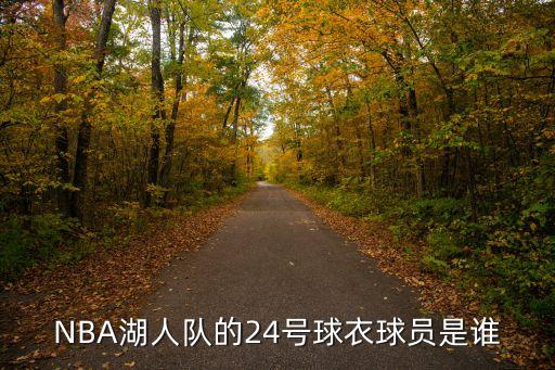 24號哪個球星,世界杯外圍賽:布雷默打進決賽唯一進球