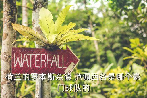 荷蘭的羅本斯奈德 范佩西各是哪個豪門球隊(duì)的