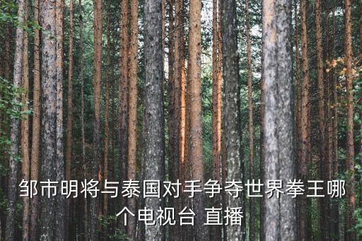  鄒市明將與泰國對(duì)手爭奪世界拳王哪個(gè)電視臺(tái) 直播