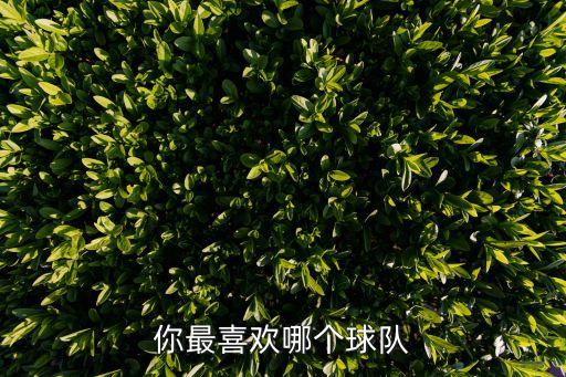 你最喜歡哪個球隊