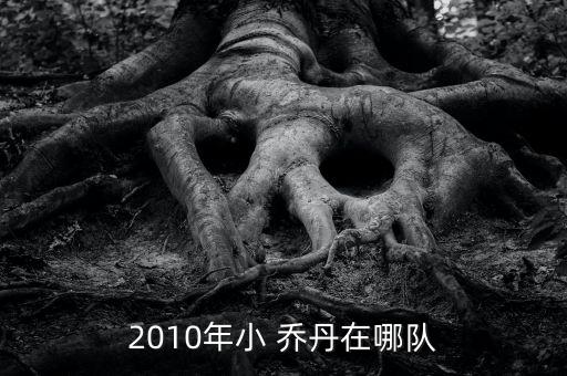 2010年小 喬丹在哪隊(duì)
