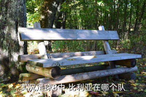 比利亞現(xiàn)在在哪個(gè)隊(duì),比利亞永久轉(zhuǎn)會(huì)皇馬競(jìng)轉(zhuǎn)會(huì)費(fèi)510萬歐元