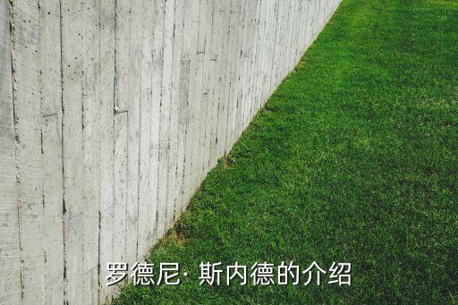斯內(nèi)德在哪個(gè)俱樂部,羅德尼斯內(nèi)德加盟烏特勒支足球隊(duì)