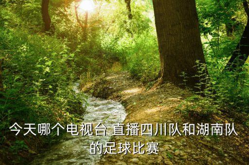 2016中乙哪個網(wǎng)絡(luò)直播,職業(yè)玩家:有點技巧就可以玩中乙