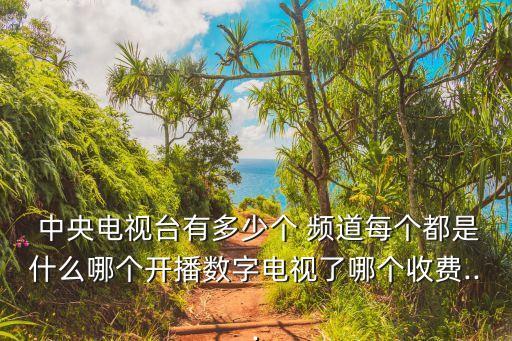  中央電視臺有多少個(gè) 頻道每個(gè)都是什么哪個(gè)開播數(shù)字電視了哪個(gè)收費(fèi)...