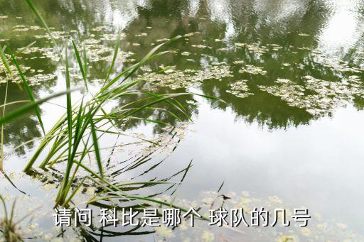 科比8號(hào)是在哪個(gè)球隊(duì),得潘、黑曼巴