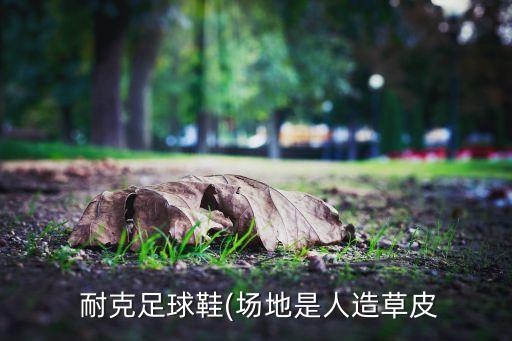  耐克足球鞋(場(chǎng)地是人造草皮