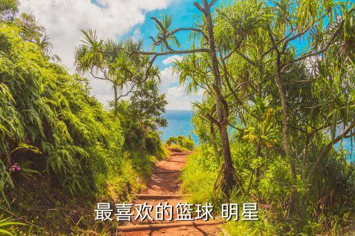 哪個明星喜歡羅斯,籃球巨星羅斯選秀生涯最愛喬丹球員