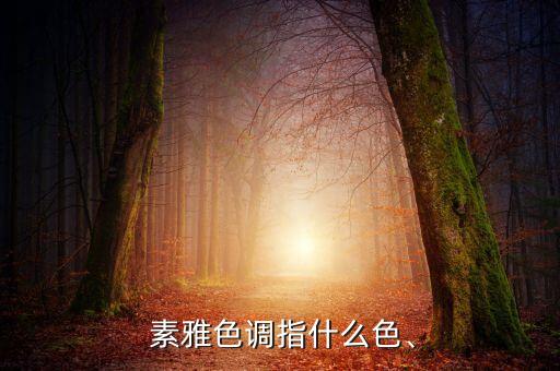  素雅色調(diào)指什么色、