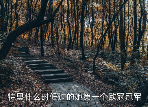 特里選哪個(gè)賽季的,為小牛隊(duì)效力時(shí)間最長特里:比巔峰時(shí)期更強(qiáng)