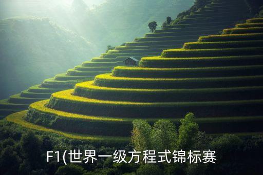 F1(世界一級方程式錦標(biāo)賽