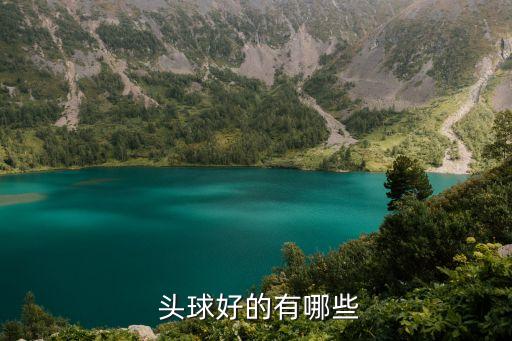  頭球好的有哪些
