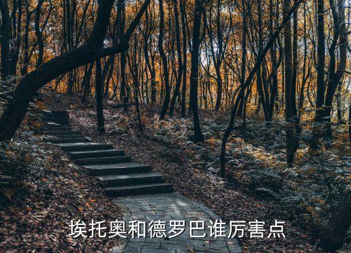  埃托奧和德羅巴誰厲害點(diǎn)