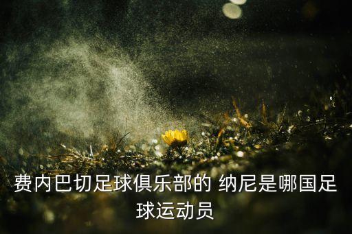 費(fèi)內(nèi)巴切足球俱樂(lè)部的 納尼是哪國(guó)足球運(yùn)動(dòng)員