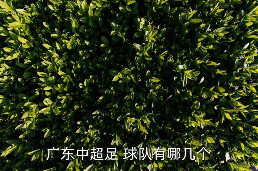 廣東中超足 球隊有哪幾個