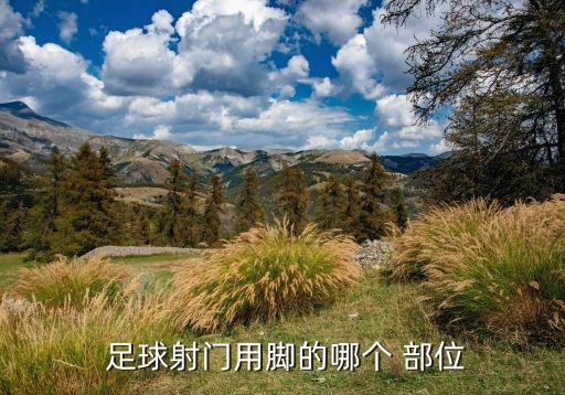  足球射門用腳的哪個 部位