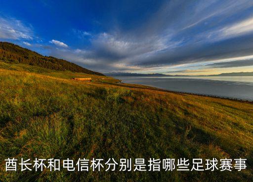 奧迪杯由哪個(gè)俱樂部舉辦,阿森納主場倫敦舉辦電信杯賽事