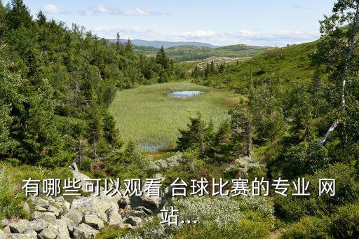 有哪些可以觀看 臺球比賽的專業(yè) 網(wǎng)站...