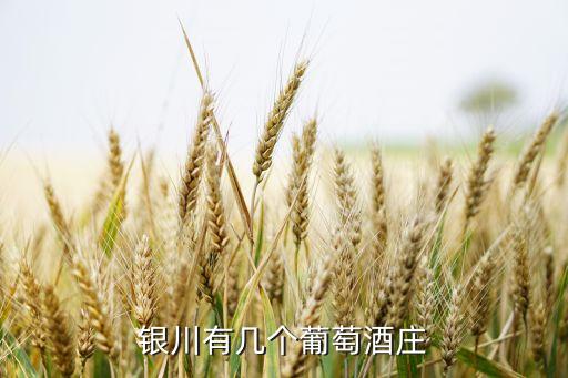 史莊格斯是哪個(gè)隊(duì),湖人奪冠的秘訣