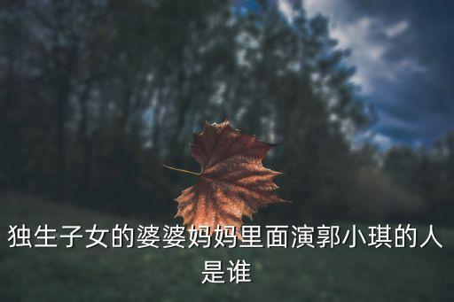 獨生子女的婆婆媽媽里面演郭小琪的人是誰