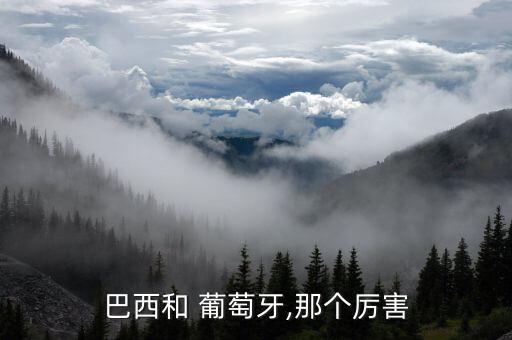 巴西和 葡萄牙,那個厲害