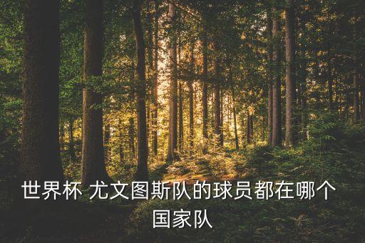 世界杯 尤文圖斯隊的球員都在哪個 國家隊