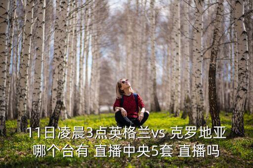 11日凌晨3點英格蘭vs 克羅地亞哪個臺有 直播中央5套 直播嗎