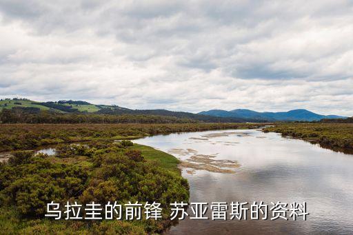 蘇亞雷斯是哪個(gè)國(guó)家的,前國(guó)腳蘇亞雷斯轉(zhuǎn)會(huì)尤文圖斯