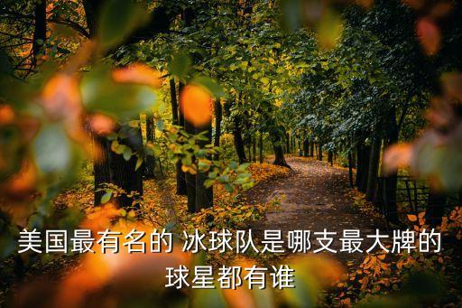 冰球中哪個(gè)隊(duì)伍最強(qiáng),冰球比賽規(guī)則:每隊(duì)運(yùn)動(dòng)員不得超過6人