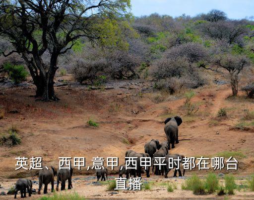 英超、西甲,意甲,西甲平時都在哪臺 直播