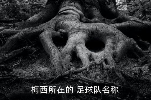 圣菲獨立是哪個國家的足球隊,梅西回歸阿根廷國家team