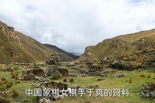 哪個(gè)臺演網(wǎng)絡(luò)棋盤,中國象棋男將徐霜培養(yǎng)出多名省象棋冠軍