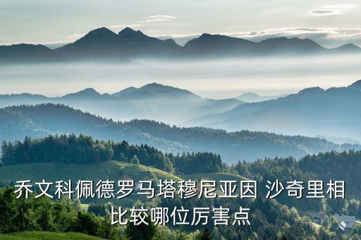 喬文科佩德羅馬塔穆尼亞因 沙奇里相比較哪位厲害點