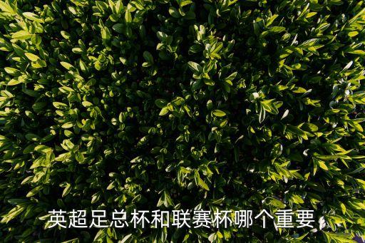 英超足總杯和聯(lián)賽杯哪個重要