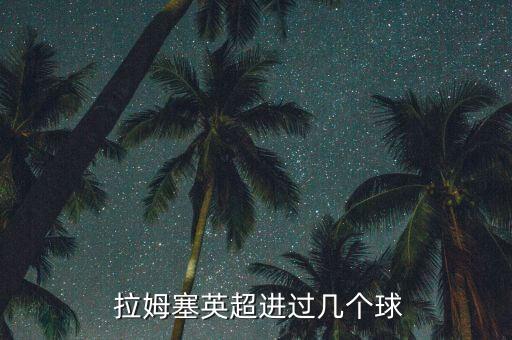  拉姆塞英超進(jìn)過幾個球