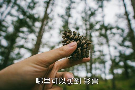 彩票在哪個網站能買,你好，去彩票station那里買彩票?