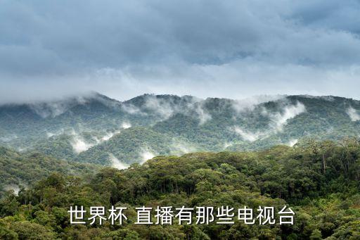  世界杯 直播有那些電視臺(tái)