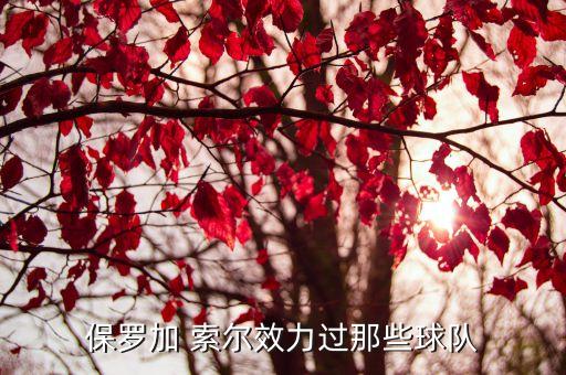 大加索爾現(xiàn)在在哪個(gè)隊(duì),保羅-賈索爾西班牙籃球運(yùn)動(dòng)員