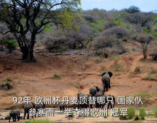 1992年歐洲杯的冠軍是哪個(gè)國家,10個(gè)歐洲杯冠軍of國家